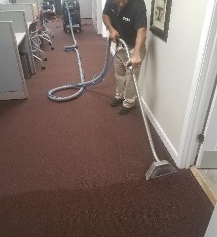 Mister Kleen employee cleaning a carpet