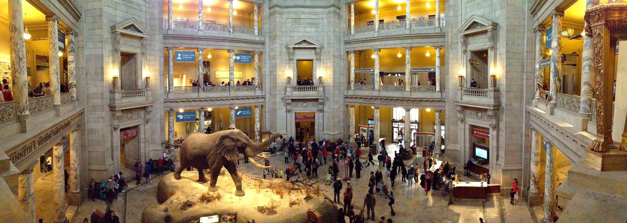 Photo credit: National Museum of Natural History in DC by Blake Patterson is licensed under CC BY